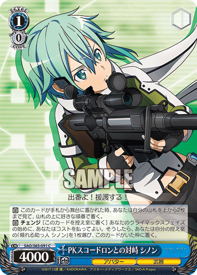 SAO/S65-091 PKスコードロンとの対峙 シノン C