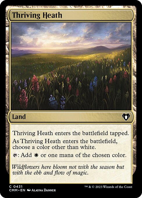 CMM 431 Thriving Heath C