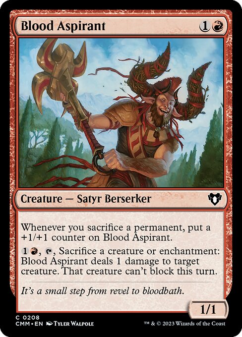 CMM 208 Blood Aspirant C