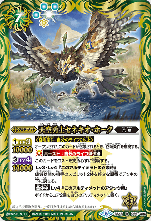 BS48-066 Sky Warrior Sky Warrior R