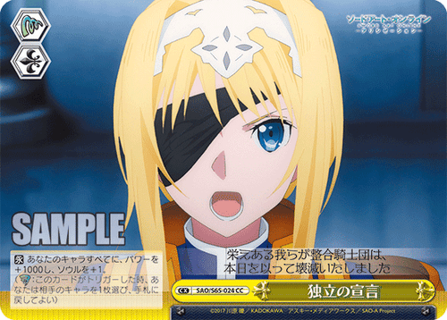 SAO/S65-024 独立の宣言 CC