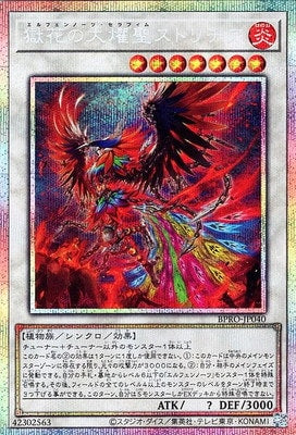 BPRO-JP040 Glorious Saint Strichia the獄花 PSE