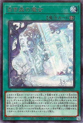 ALIN-JP058 白き森の魔女 R