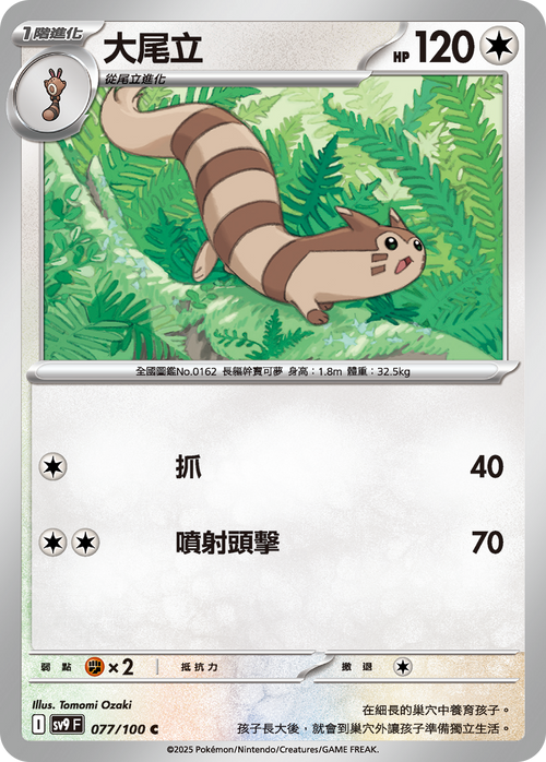 SV9F 077/100 Furret C