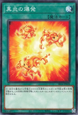 SR14-JP028 True Flame Explosive PN