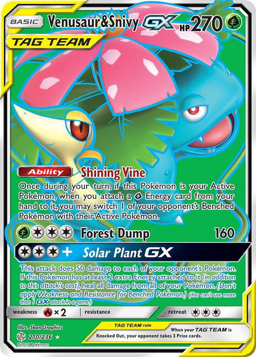 SM12 210/236 Venusaur & Snivy GX SR