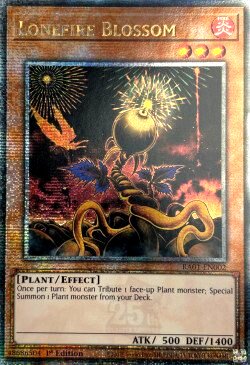 RC04-AE002 Lonefire Blossom QSE