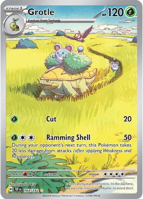 TEF 164/162 Grotle IR