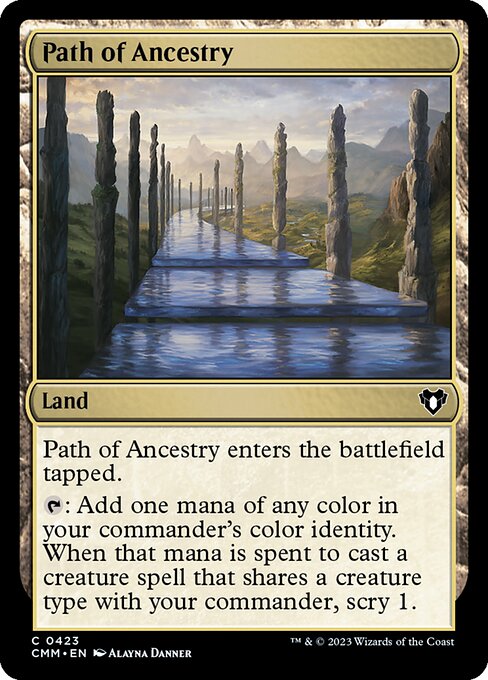 CMM 423 Path of Ancestry C