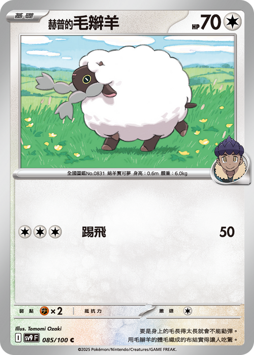 SV9F 085/100 Hop's Wooloo C