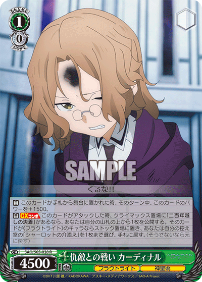 SAO/S65-028 仇敵との戦い カーディナル R