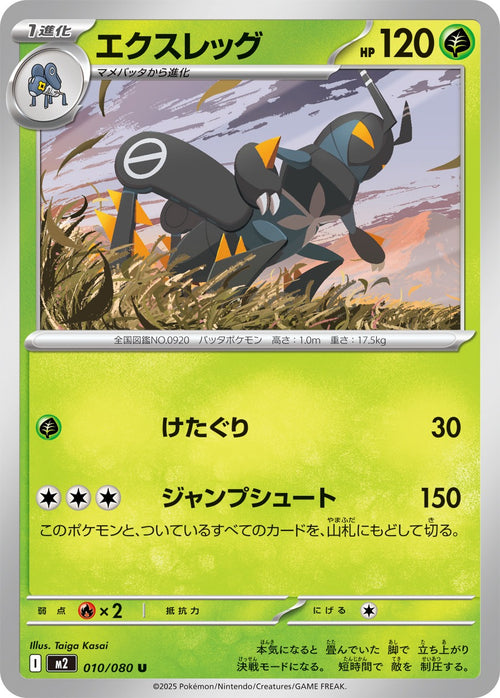 M2 010/080 エクスレッグ U