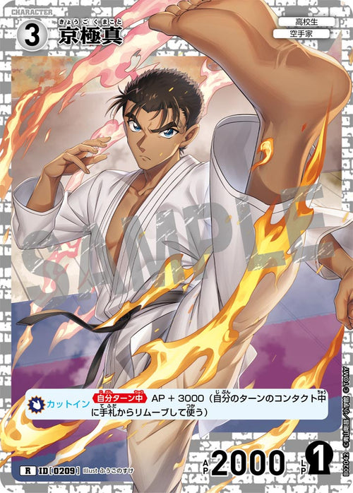 B02042 京極真 R [ID:0209]
