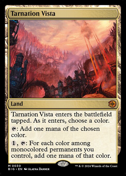 BIG 030 Tarnation Vista M