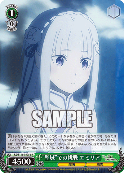 RZ/S116-030S Challenge in the "Sanctuary" Emilia SR