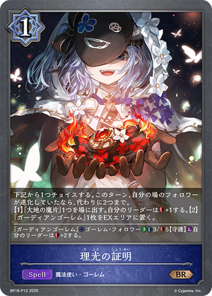 BP16-P12 理光の証明 P-BR