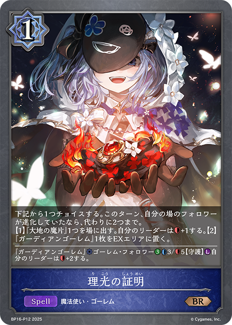 BP16-P12 理光の証明 P-BR