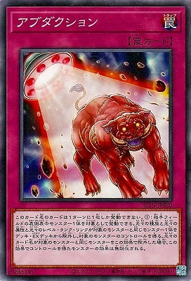 ALIN-JP080 アブダクション NR