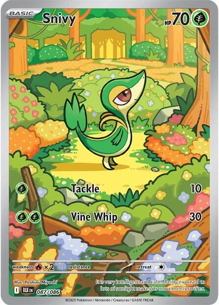 BLK 087/086 Snivy IR