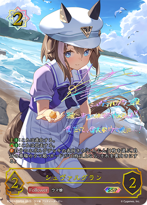 ECP01-SSP09 シュヴァルグラン SSP