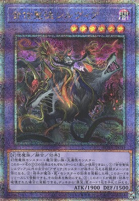 ROTA-JP030 背信聖徒シルヴィア QSE