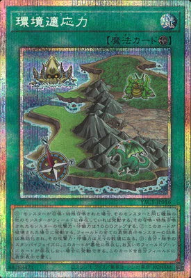 YAC1-JP016 環境適応力 PSE
