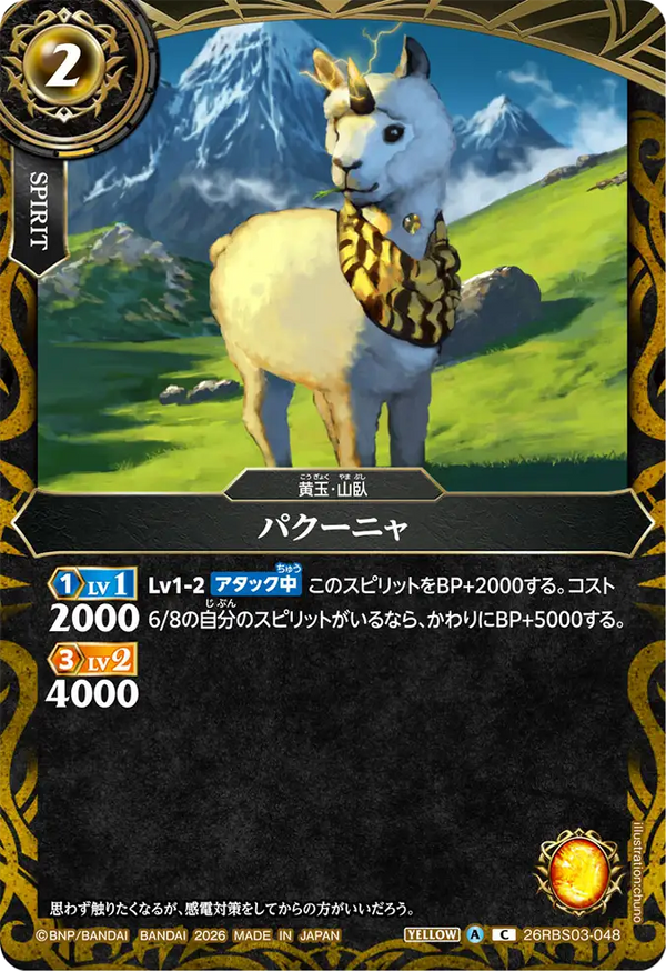 26RBS03-048 パクーニャ C