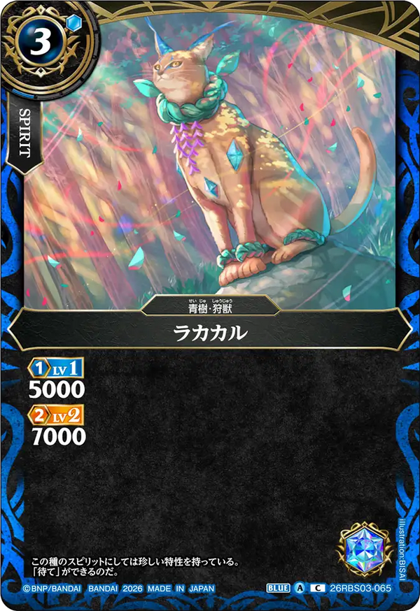 26RBS03-065 ラカカル C