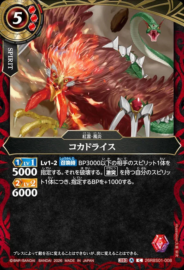 26RBS01-008 コカドライス C