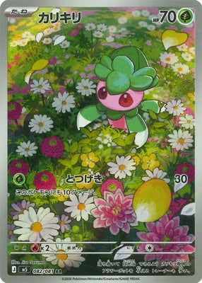 M5 082/081 カリキリ AR