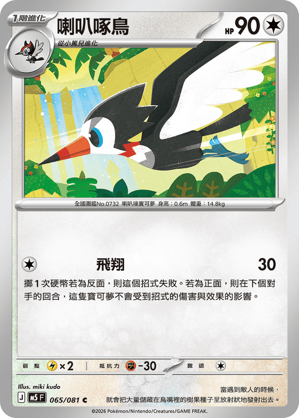 M5F 065/081 喇叭啄鳥 C