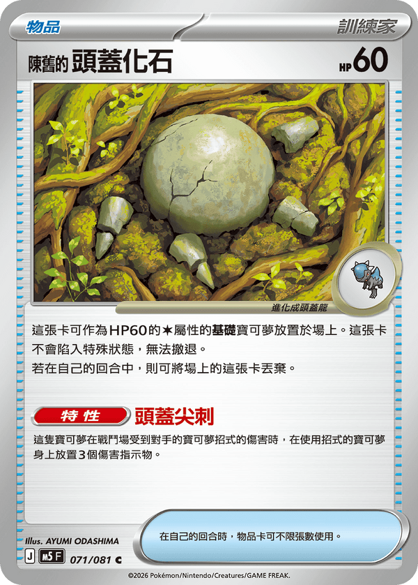 M5F 071/081 陳舊的頭蓋化石 C