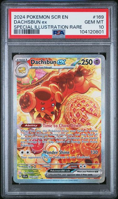 [PSA 10] 2024 POKEMON SCR EN-STELLAR CROWN #169 DACHSBUN EX SPECIAL ILLUSTRATION RARE