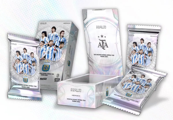2025 Playfully Argentina National Football Team