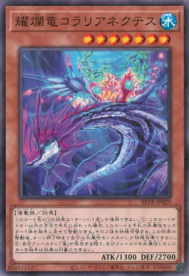BETB-JP069 魔力到達 R