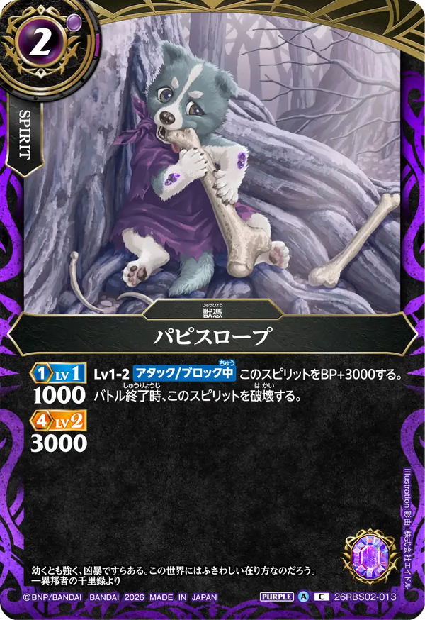 26RBS02-013 パピスロープ C