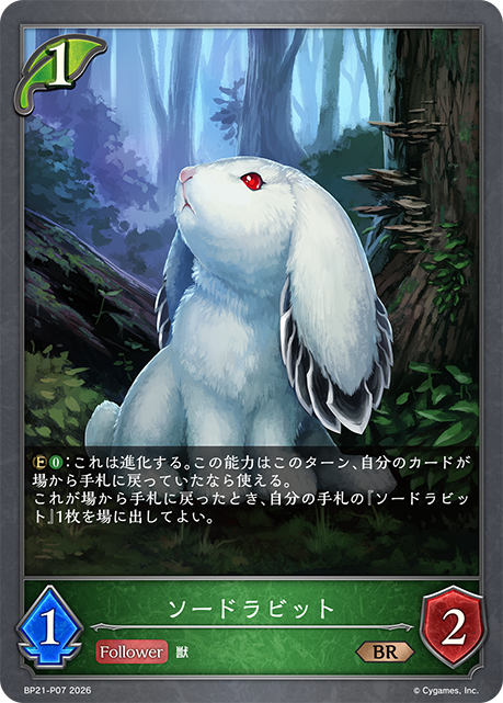 BP21-P07 ソードラビット P-BR