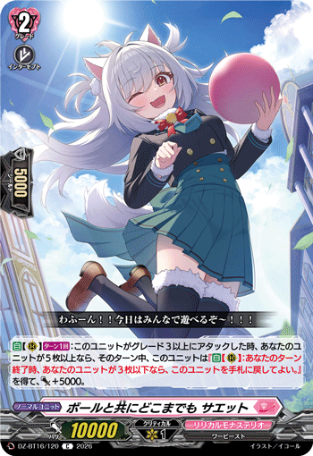 DZ-BT16/120 ボールと共にどこまでも サエット C