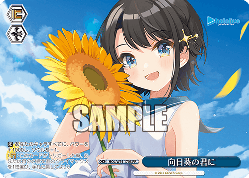 HOL/W91-170S Himawari no Jun PR
