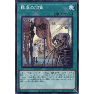 CP20-JP013 標本の閲覧 N