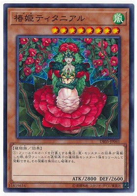 DBSS-JP041 椿姫ティタニアル N