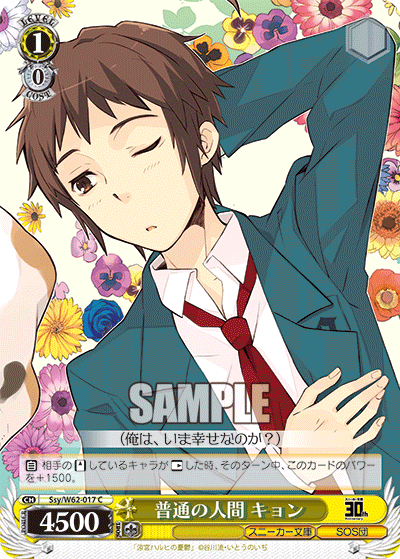 Ssy/W62-017 普通の人間 キョン C