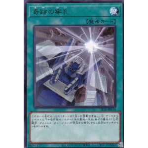 CP20-JP014 奇跡の穿孔 R