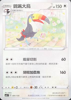 SCA 091/135 銃嘴大鳥