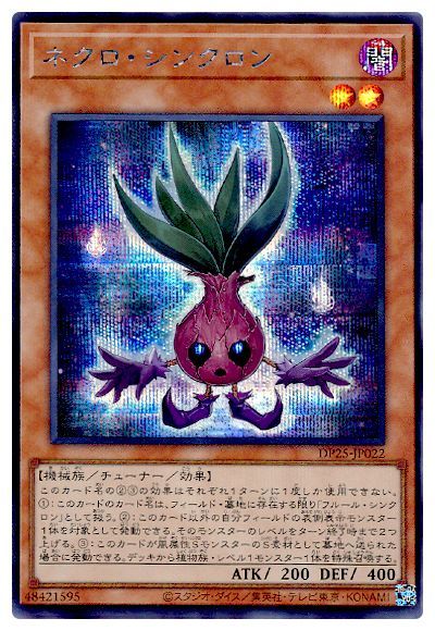 遊戯王　デュエリストパック 疾風のデュエリスト編 Amazon.co.jp: 遊戯王OCG デュエルモンスターズ デュエリストパック