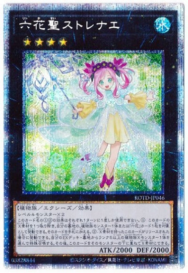 ROTD-JP046 Rikka Sei Toro PSE