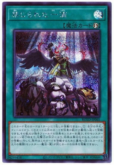 ROTD-JP065 forbidden one drop SE