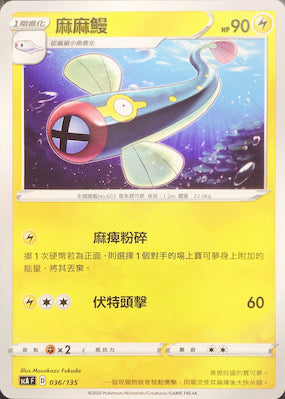 SCA 036/135 麻麻鰻