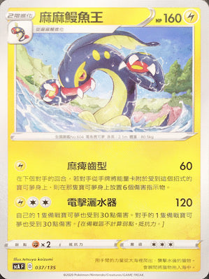 SCA 037/135 麻麻鰻魚王