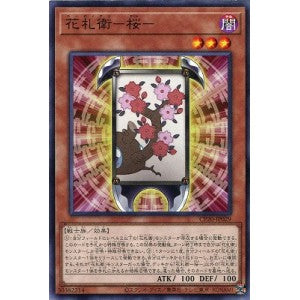 CP20-JP029 花札衛－桜－ N
